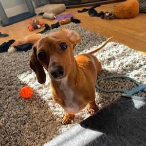 Meet your Posher, Patti